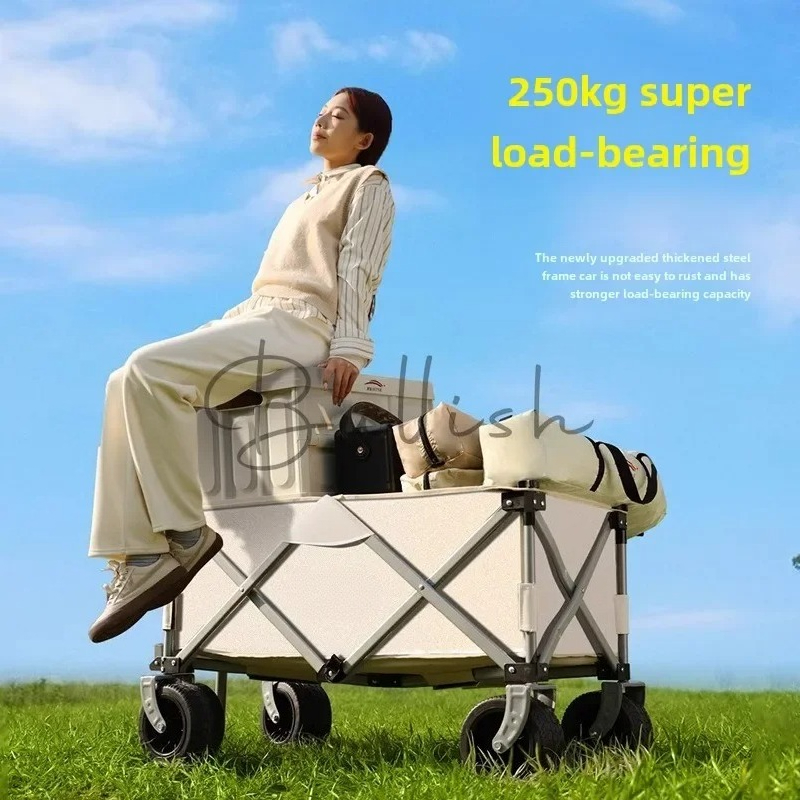 Carrito de camping plegable pa - Outdoor Camping Trolley reseña y precio
